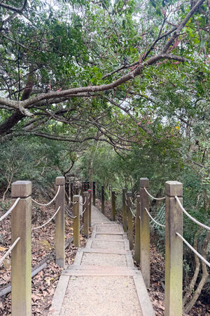 ▲▼大坑6號步道。（圖／部落客飛天璇的口袋授權提供）