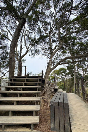 ▲▼大坑6號步道。（圖／部落客飛天璇的口袋授權提供）