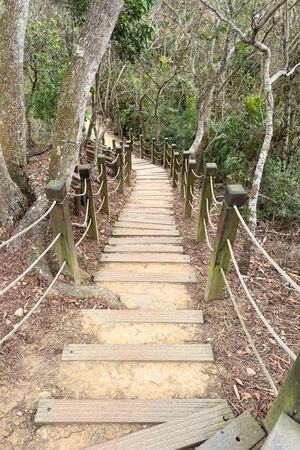 ▲▼大坑6號步道。（圖／部落客飛天璇的口袋授權提供）