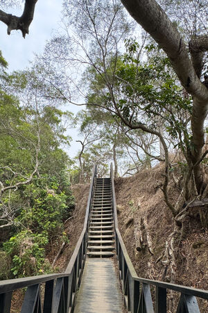 ▲▼大坑6號步道。（圖／部落客飛天璇的口袋授權提供）