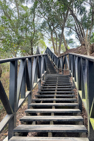 ▲▼大坑6號步道。（圖／部落客飛天璇的口袋授權提供）