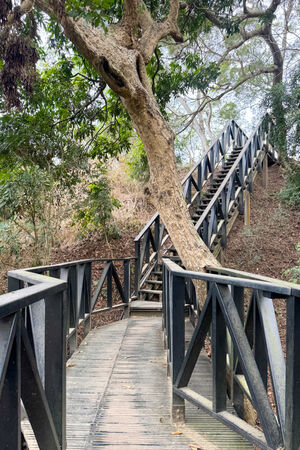 ▲▼大坑6號步道。（圖／部落客飛天璇的口袋授權提供）