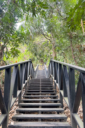 ▲▼大坑6號步道。（圖／部落客飛天璇的口袋授權提供）