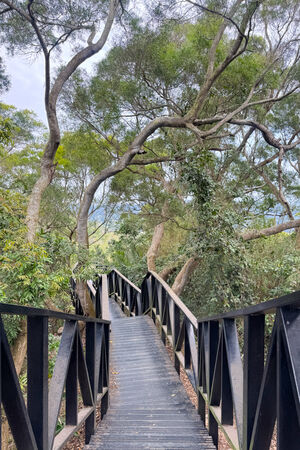 ▲▼大坑6號步道。（圖／部落客飛天璇的口袋授權提供）