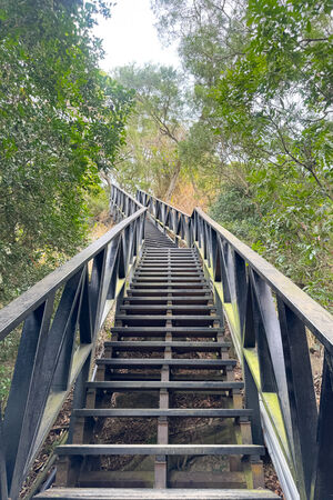 ▲▼大坑6號步道。（圖／部落客飛天璇的口袋授權提供）