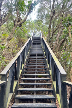 ▲▼大坑6號步道。（圖／部落客飛天璇的口袋授權提供）