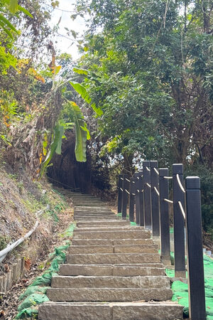 ▲▼大坑6號步道。（圖／部落客飛天璇的口袋授權提供）