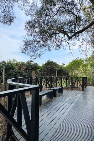 ▲▼大坑6號步道。（圖／部落客飛天璇的口袋授權提供）