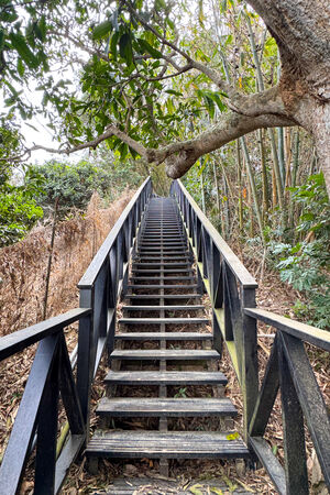 ▲▼大坑6號步道。（圖／部落客飛天璇的口袋授權提供）