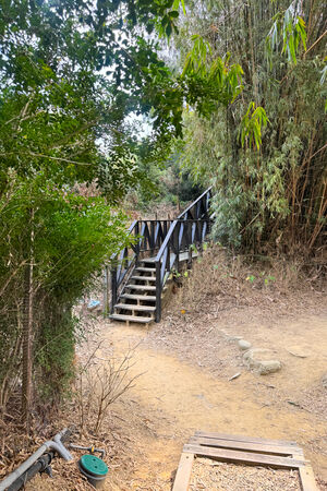 ▲▼大坑6號步道。（圖／部落客飛天璇的口袋授權提供）