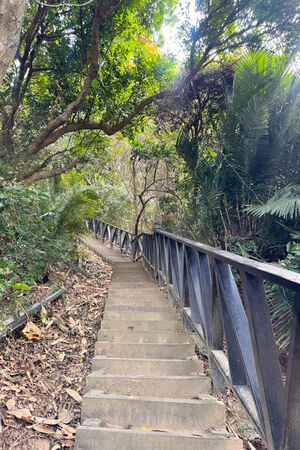 ▲▼大坑6號步道。（圖／部落客飛天璇的口袋授權提供）