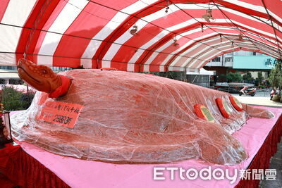 鹿谷光電業去年生意夯　今年獨家贊助28888斤大神龜謝開山聖王