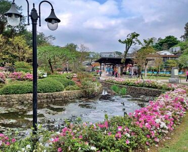 春暖遊新北！金山溫泉公園泡腳賞櫻　輕鬆慢活輕旅行