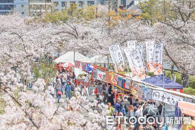 大阪今年必去5處賞櫻地　搭船賞千棵櫻花海、走7天限定粉色隧道