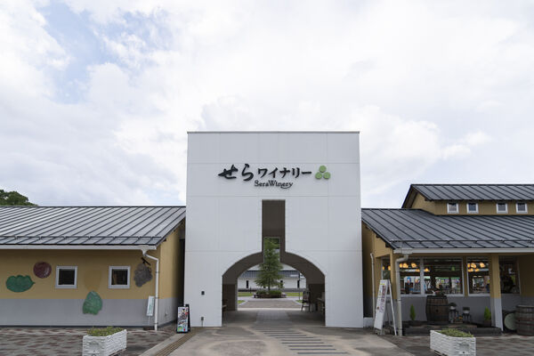 ▲▼廣島世羅町花海。（圖／廣島縣世羅町提供）