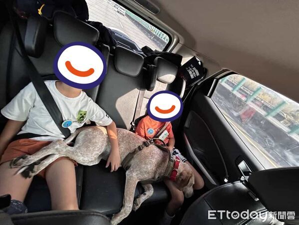 小主人感冒，狗狗被迫當保母眼神死。（圖／Threads@ginayaya提供）