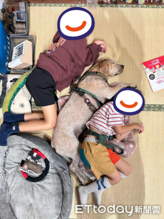 小主人感冒，狗狗被迫當保母眼神死。（圖／Threads@ginayaya提供）