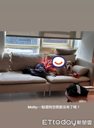 小主人感冒，狗狗被迫當保母眼神死。（圖／Threads@ginayaya提供）