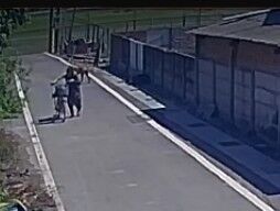 阿嬤下田遭4惡犬圍攻！衣被咬碎全身是傷慘縫200針　恐怖畫面曝