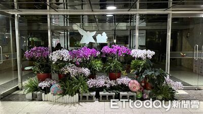 卸展蘭花重生！台南打造市政花藝空間　延續蘭展魅力
