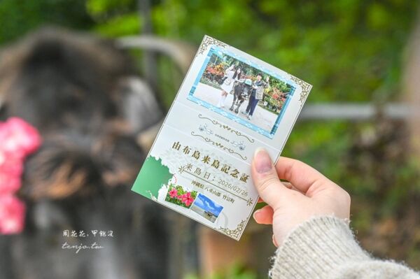 ▲▼由布島水牛車體驗。（圖／周花花授權提供）