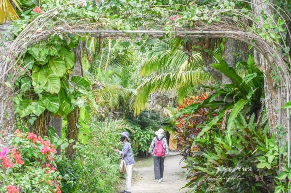 ▲▼由布島水牛車體驗。（圖／周花花授權提供）