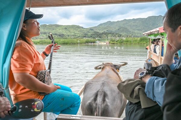 ▲▼由布島水牛車體驗。（圖／周花花授權提供）