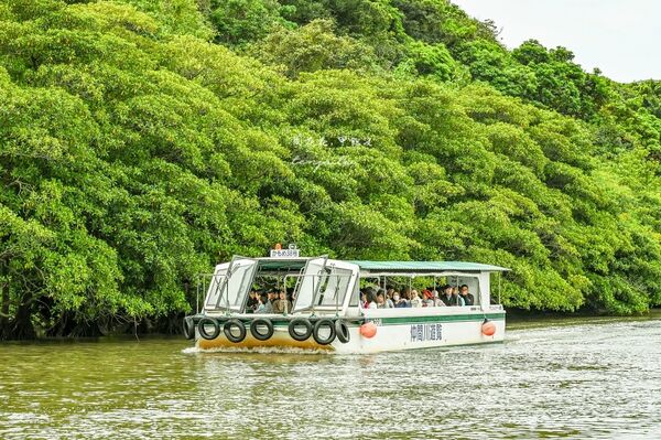 ▲▼由布島水牛車體驗。（圖／周花花授權提供）