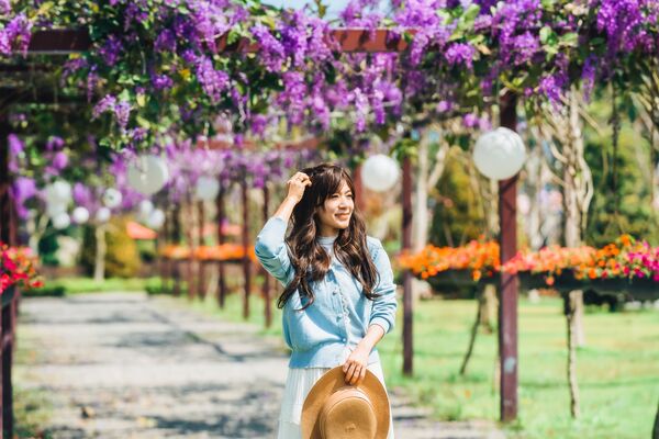 ▲成美文化園迎來許願藤花季。（圖／業者提供）