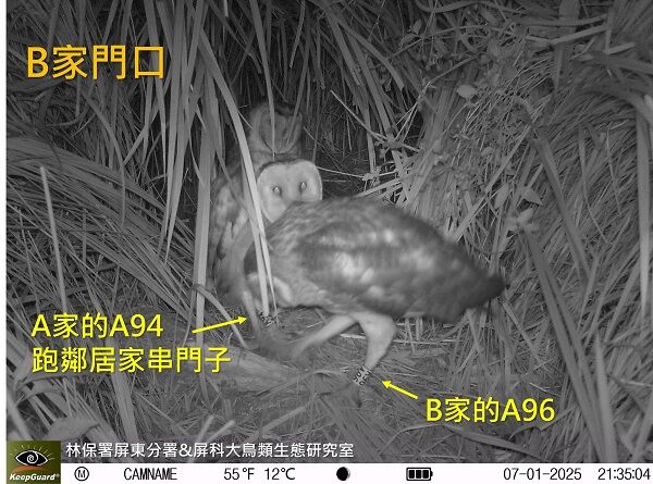 ▲。（圖／翻攝自Facebook／林業及自然保育署屏東分署）