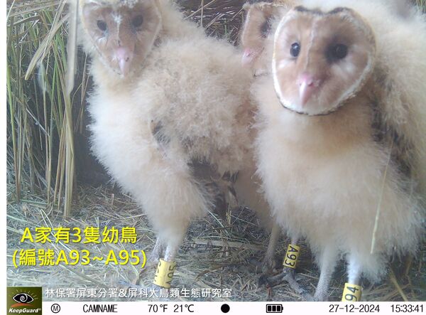 ▲。（圖／翻攝自Facebook／林業及自然保育署屏東分署）