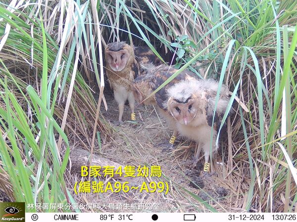 ▲。（圖／翻攝自Facebook／林業及自然保育署屏東分署）