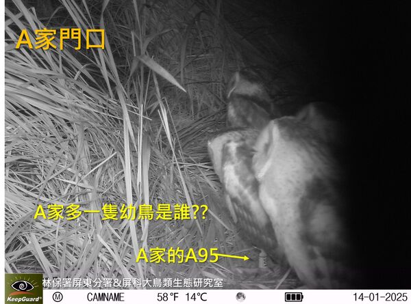 ▲。（圖／翻攝自Facebook／林業及自然保育署屏東分署）