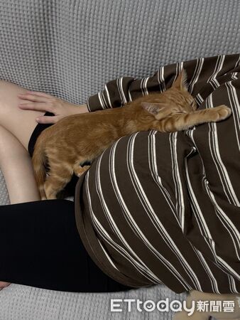 嫩嬰的守護喵。（圖／Threads@liu82802提供）