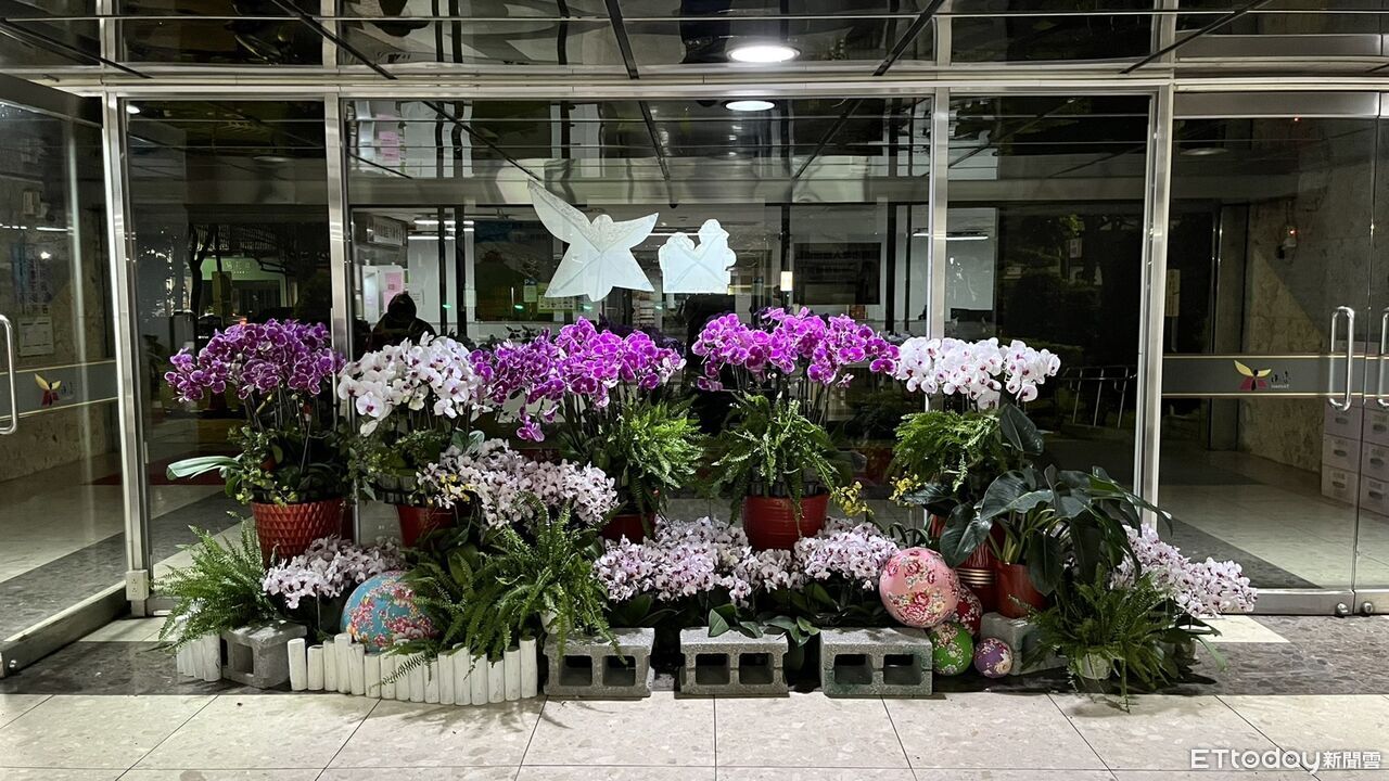 卸展蘭花重生!台南打造市政花藝空間 延續蘭展魅力