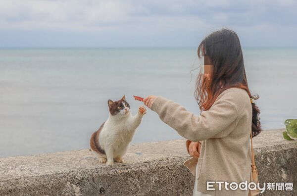 ▲▼石垣島貓島南ぬ浜町綠地公園。（圖／記者蔡玟君攝）
