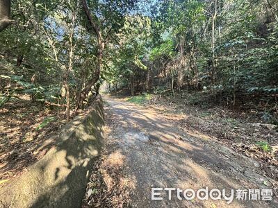 疑毒品糾紛遇死劫！男雙眼遭挖空陳屍百果山　2主嫌羈押禁見