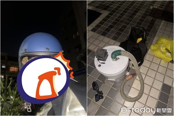 安全帽遭「蜂群築巢」!台南女伸手一拿嚇傻 捕蜂員:裡面有蜜耶