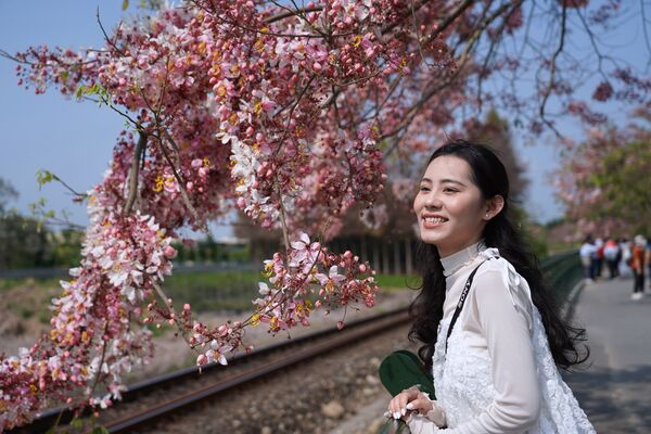 ▲二水花旗木,二水車站。（圖／交通部觀光署參山國家風景區管理處提供）
