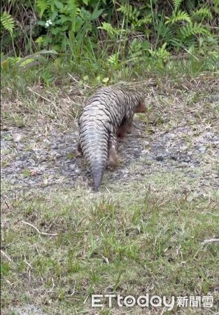 ▲。（Threads@cslmedia888提供，請勿隨意翻拍，以免侵權。）