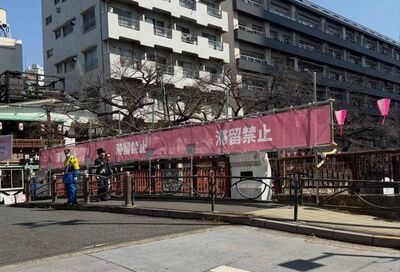 日賞櫻景點塞到掛「滯留禁止」標語 達人喊話台人:大家放過它吧