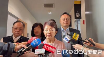 美國主動關切台灣電力不足　盧秀燕：會引起國安問題