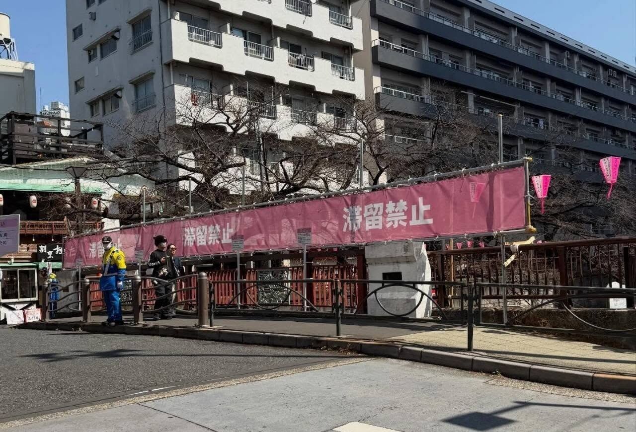 日賞櫻景點塞到掛「滯留禁止」標語 達人喊話台人:大家放過它吧