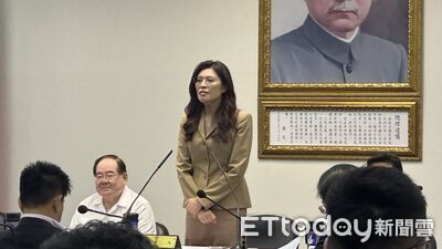 聲援蕭旭岑！　鄭麗文不捨：「黨做最強後盾」別淪傷害黨的利刃