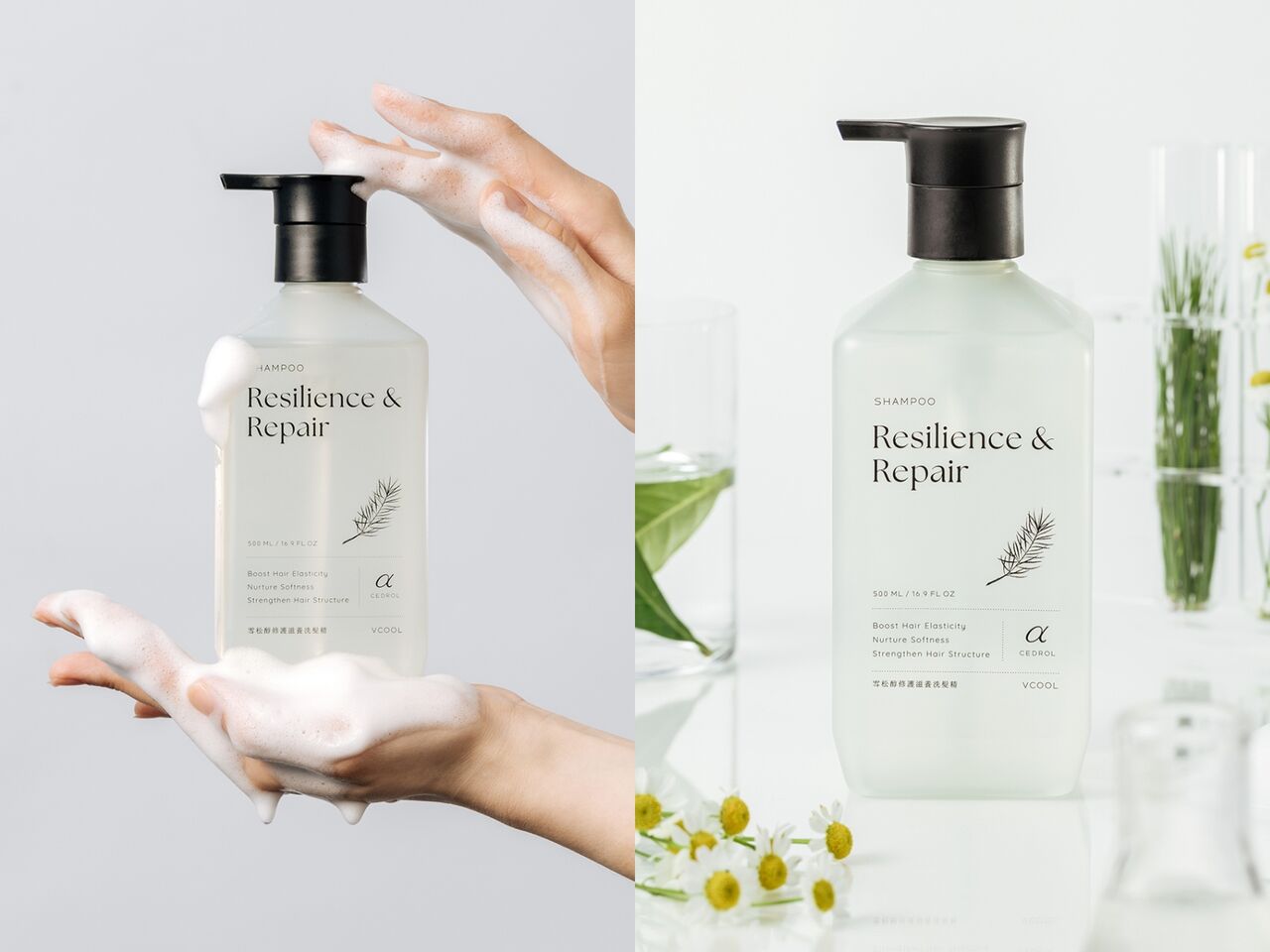 VCool,BANANAL,髮品,油頭,髮絲,護髮,清潔,。（圖／品牌提供）