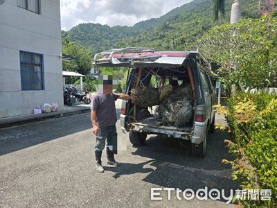 卑南溪河床搬木頭！海端警鷹眼發現急攔人　一查竟是珍貴紅檜