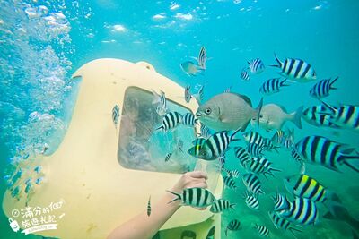 帶妝潛水沒問題！沖繩「水下摩托車」