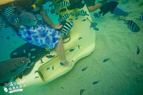 ▲▼沖繩潛水摩托車。（圖／滿分的旅遊札記授權提供）