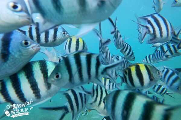 ▲▼沖繩潛水摩托車。（圖／滿分的旅遊札記授權提供）
