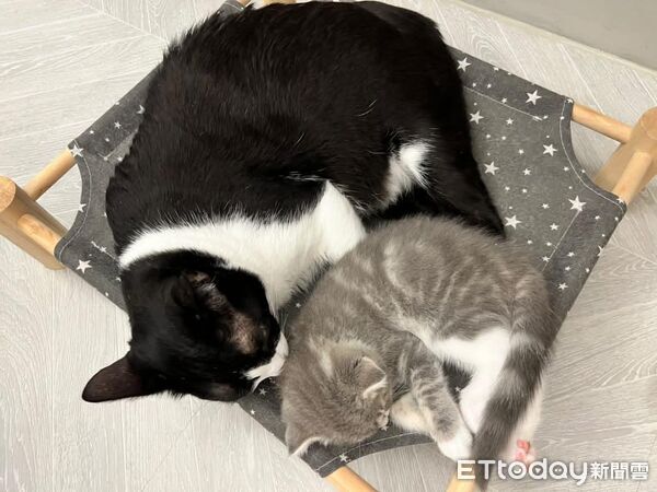 ▲。（圖／Threads@maaagggiiie提供，請勿隨意翻拍，以免侵權。）